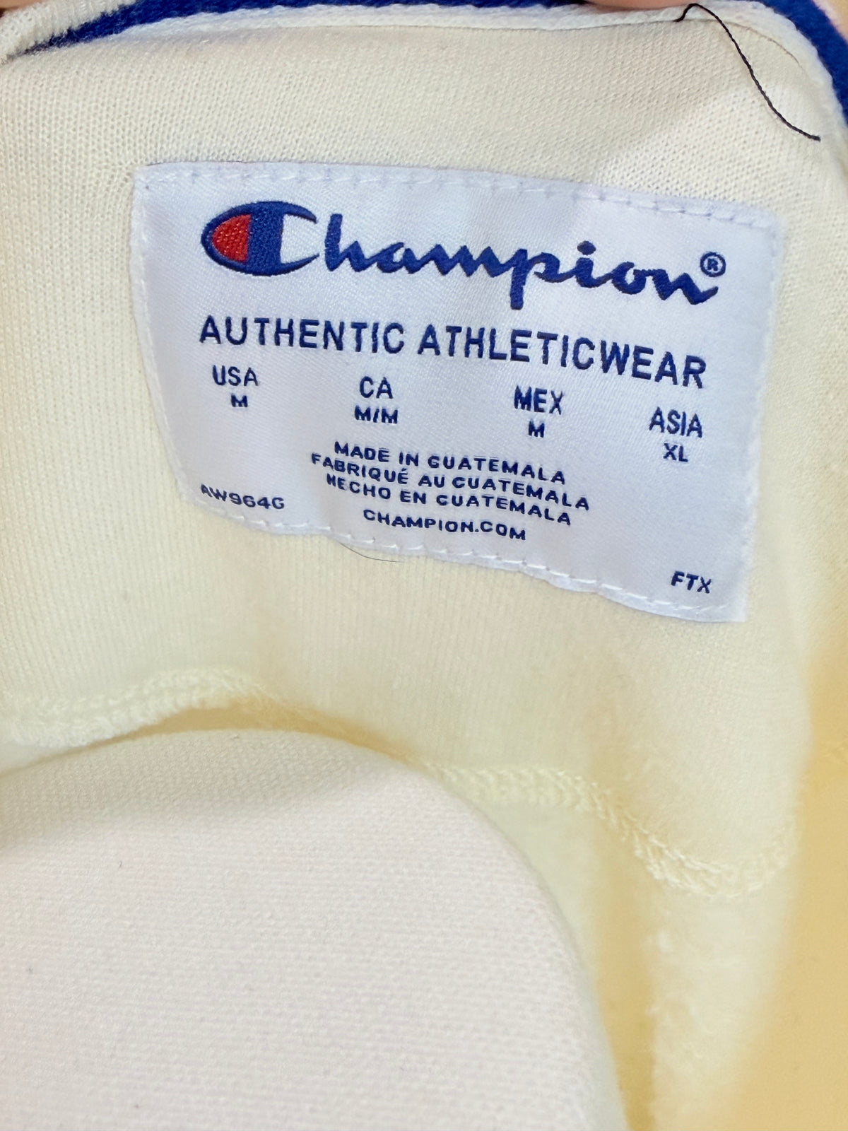 Womens Champion Sweatshirt Medium EUC