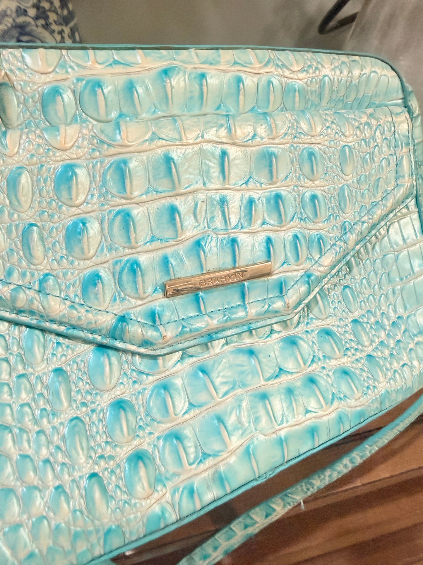 Brahmin Snake Print Bag