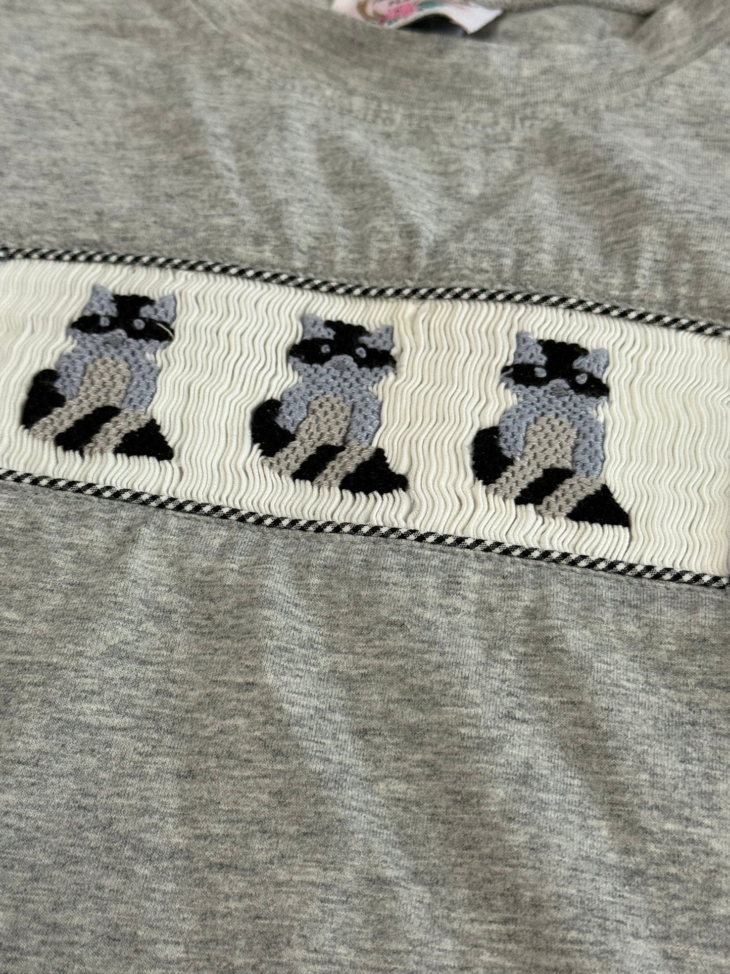 Boys Racoon Smocked 2pc Set Size 3