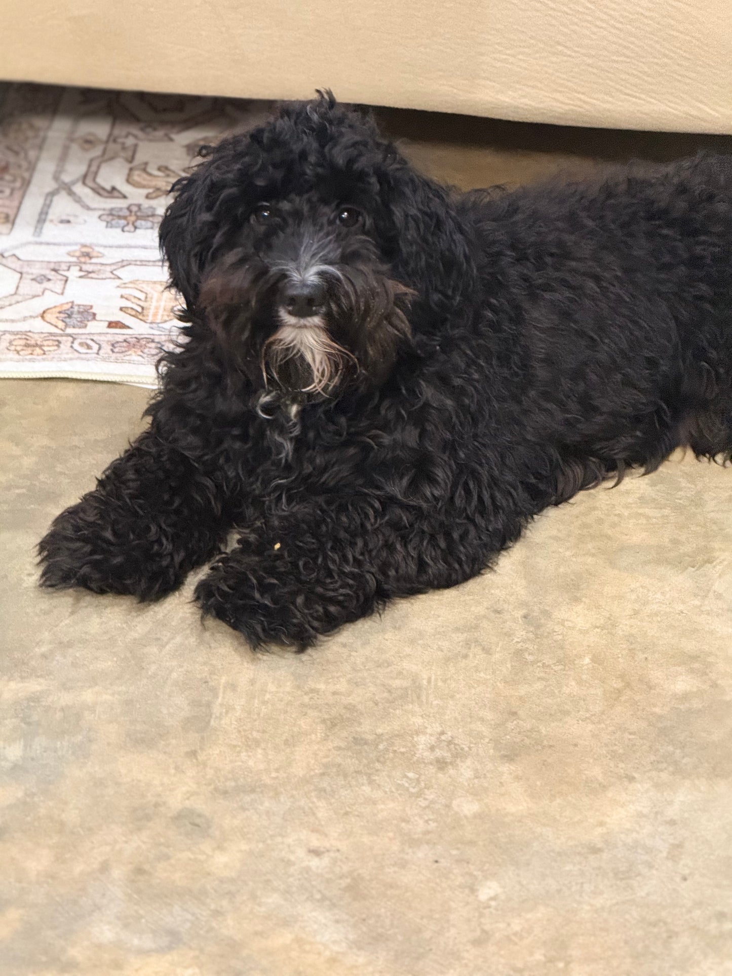 Womens J.Marie Blouse Large Retails for $114