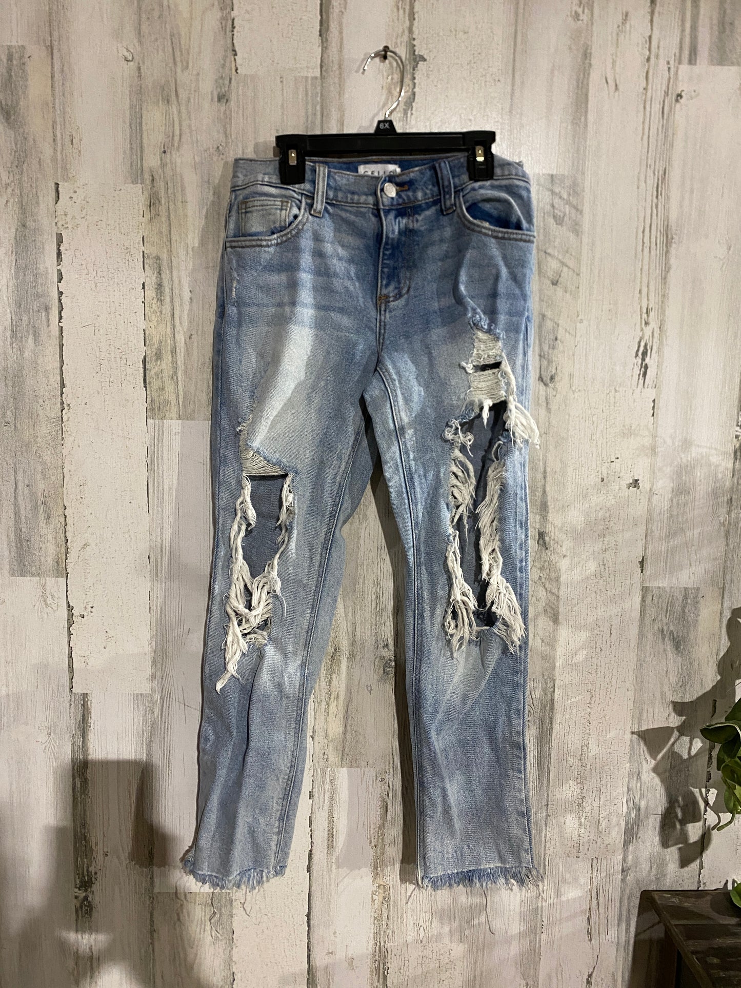 Womens Cello Jeans Sz 1