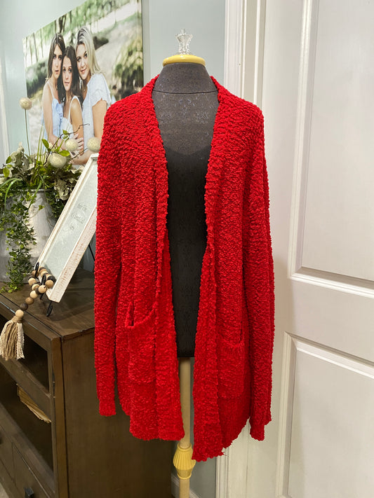 Womens Rachea Popcorn Cardigan 2X