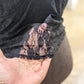 Womens Just Polly Sexy Black Lace Blouse Size XL EUC