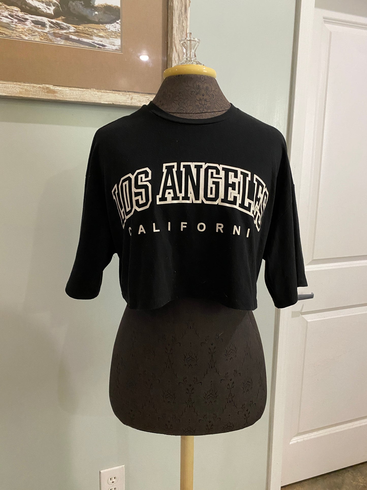 Womens Los Angelas Cropped Top Size Medium