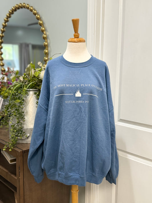 Womens Disney Sweatshirt Size 3XL