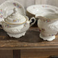 22pc Walbrzych Rose Crest Fine China
