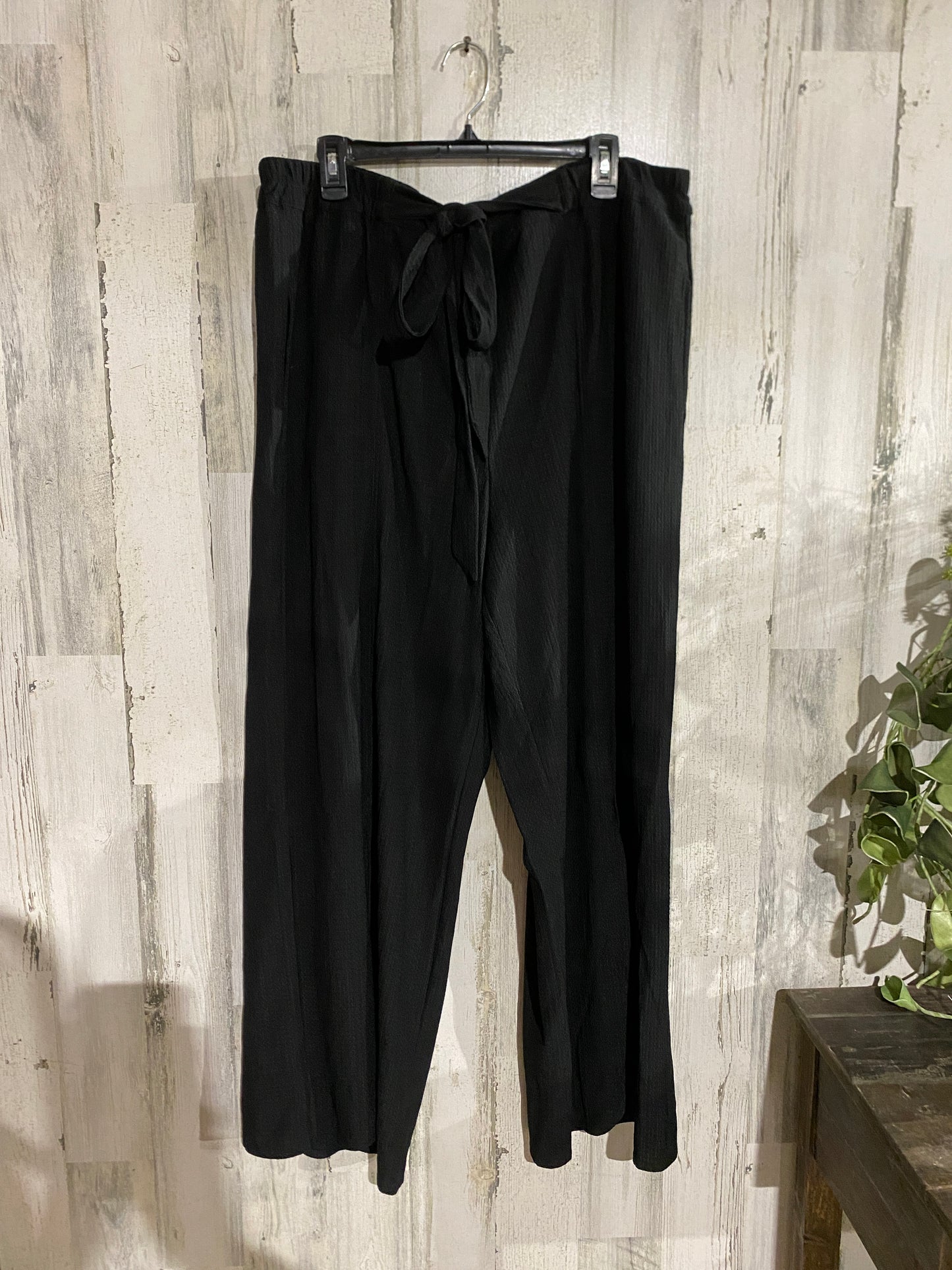 Womens Cato Pants 22/24