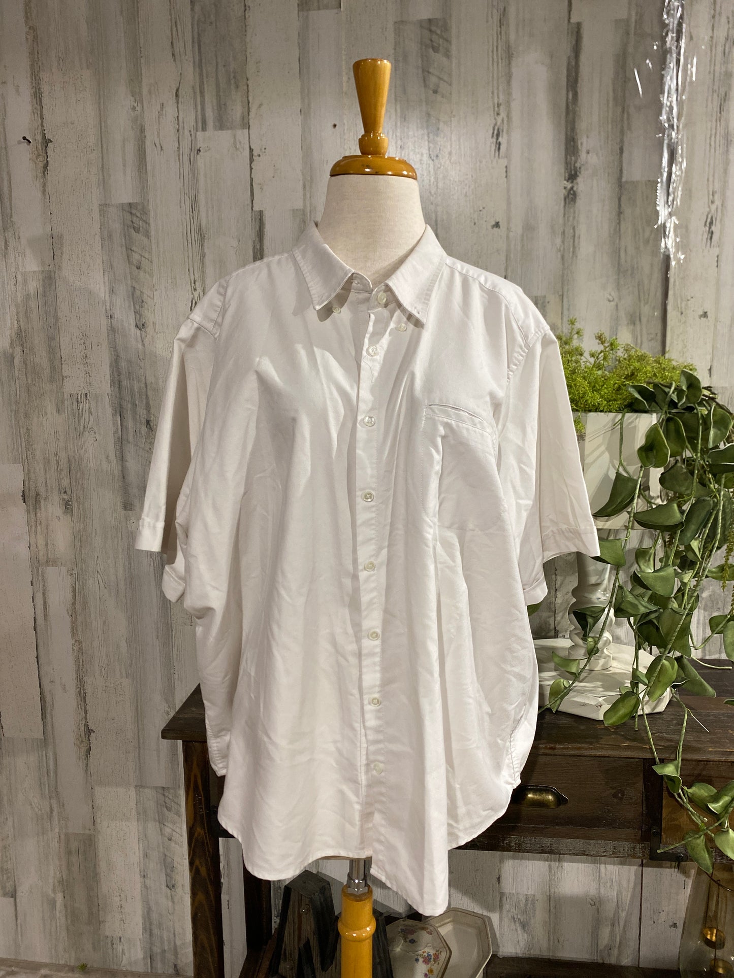 Womens Cabin Creek Button Up 26W