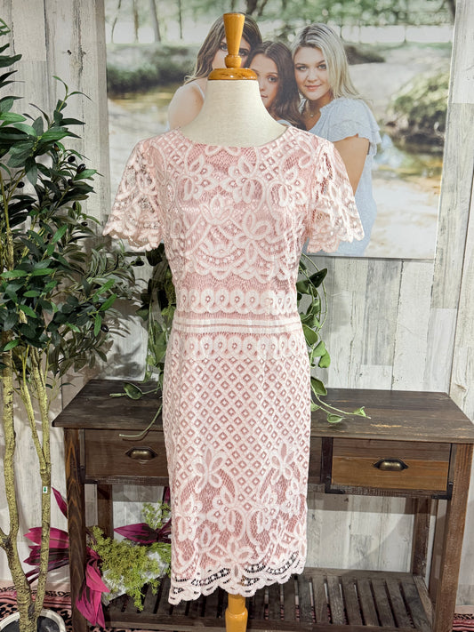 Womens Preston & York Pink Eyelet Dress Size 8 EUC