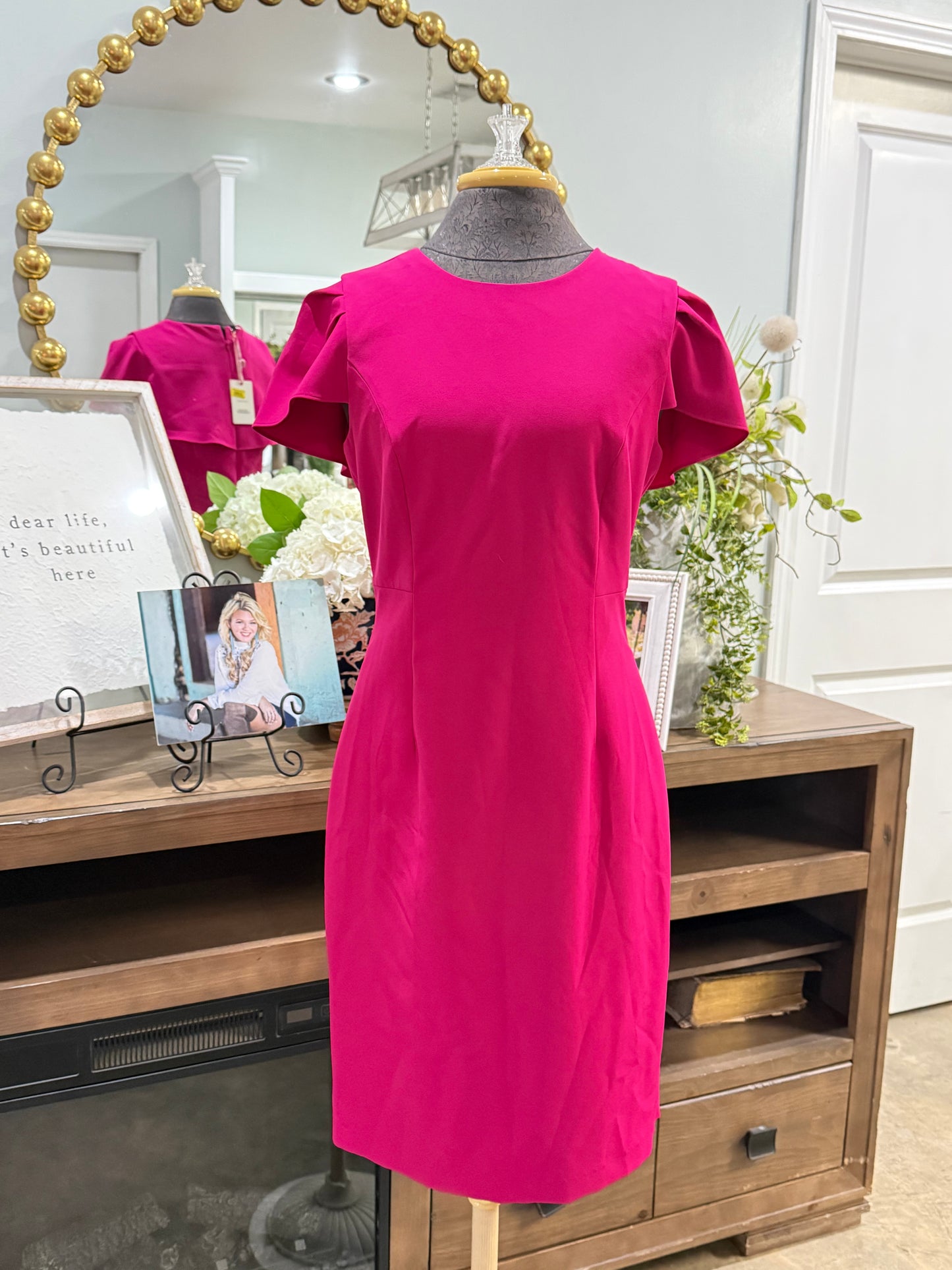 Womens Alex Marie Dress Size 6 NWT