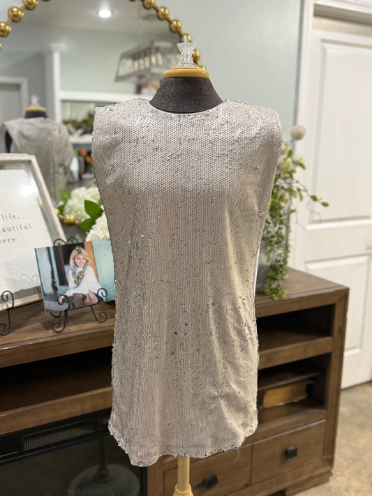 Womens TCEC Silver Sequin Dress Medium EUC