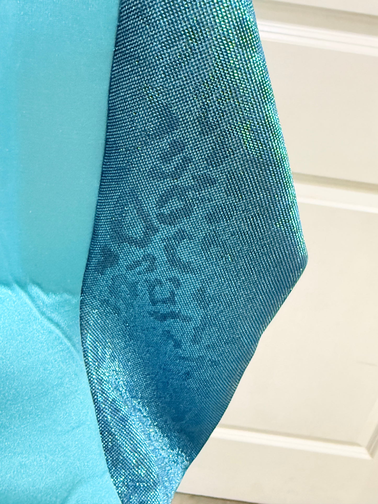Turquoise Leopard Neoprene Tote EUC