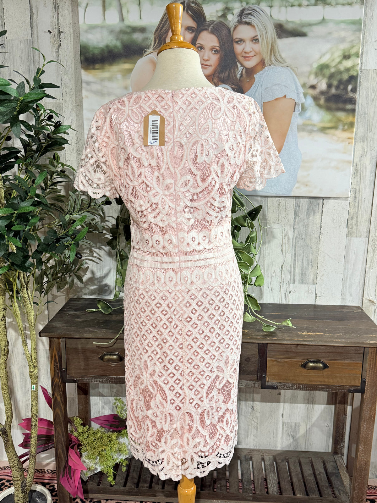 Womens Preston & York Pink Eyelet Dress Size 8 EUC