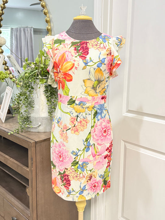 Womens Sandra Darren Floral Dress Size 6 EUC