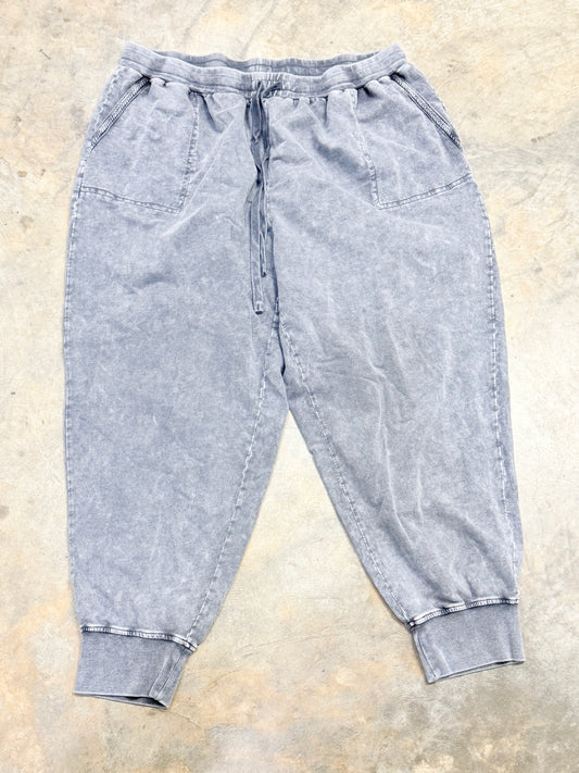 Womens Jane & Delancey Joggers Size 3X EUC