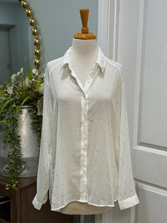 Womens Express Sheer Button Down Size Large NWT $59