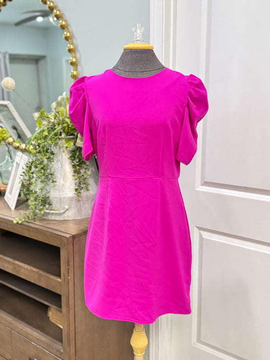 Womens TCEC Fuchsia Midi Dress Large