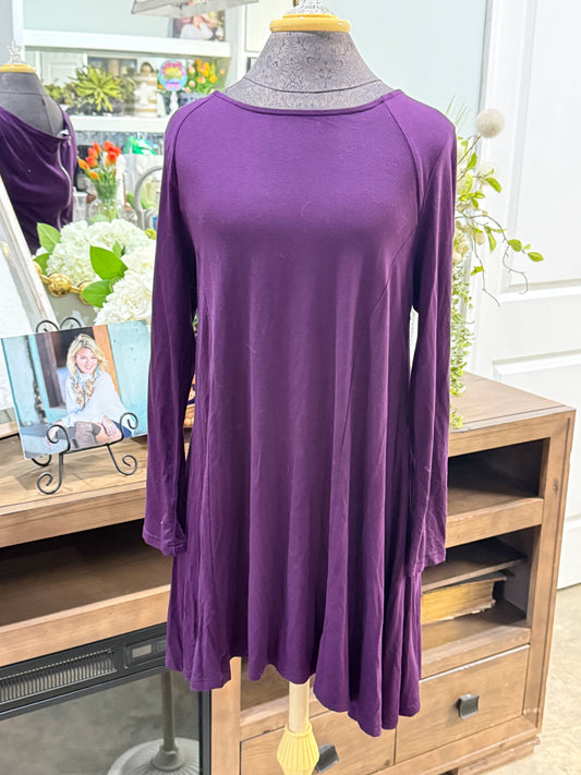 Womens Plum Dress Medium EUC