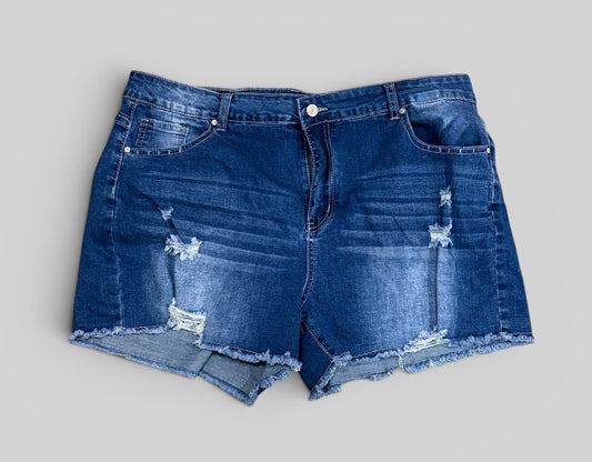 Womens Denim Shorts 2X EUC