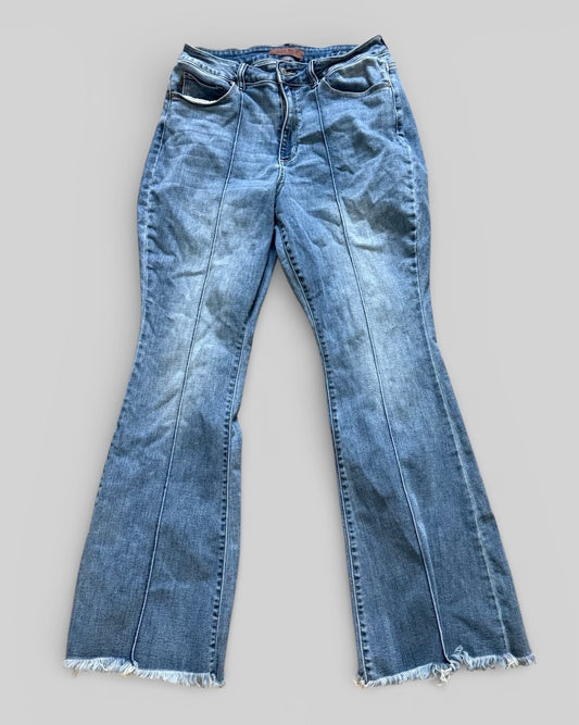 Womens Judy Blue Jeans Size 14W