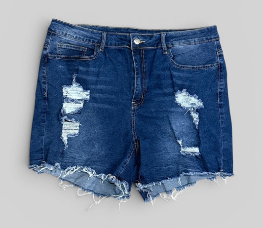 Womens Denim Shorts 2XL EUC