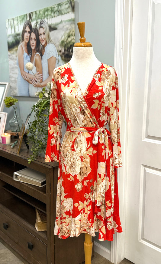 Womens Paisley Grace Red Floral Dress Size XL